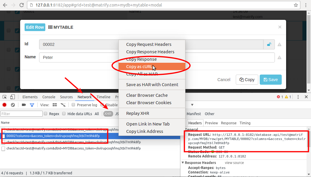 Screenshot of Example XHR request